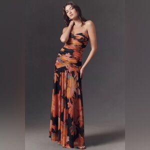 Hutch Strapless Mesh Drop-Waist Maxi Dress